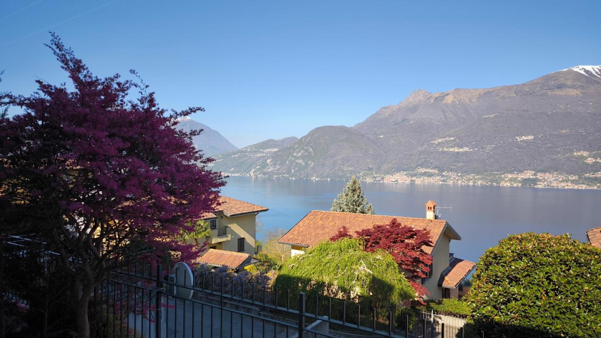 Apartment With Garden And Terrace Beautiful Lake View Беллано Экстерьер фото